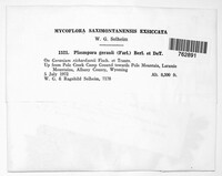 Image Associated With the Occurence